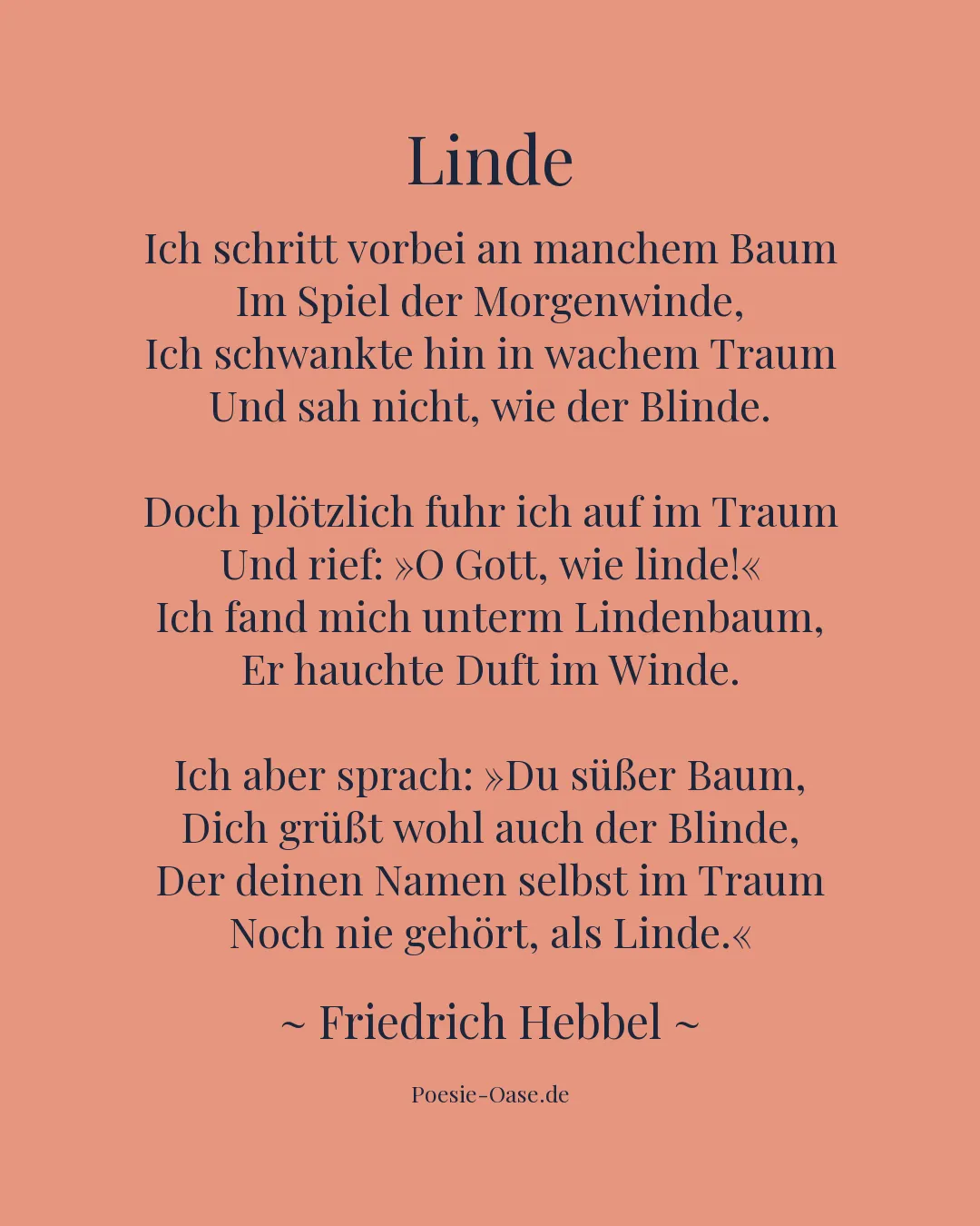 Illustration zu Linde