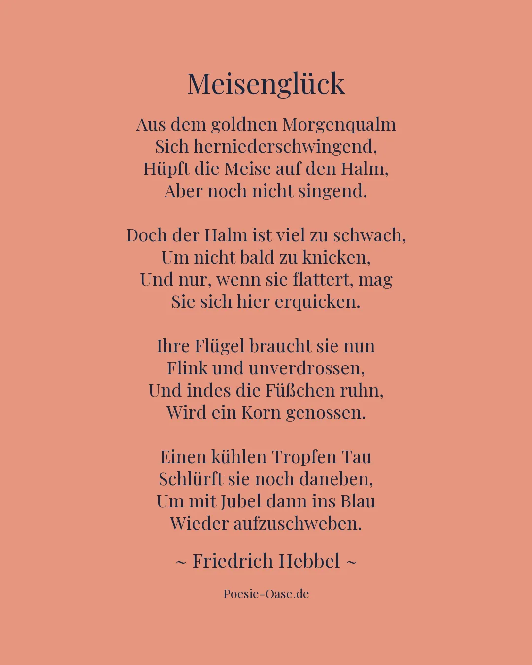 Illustration zu Meisenglück