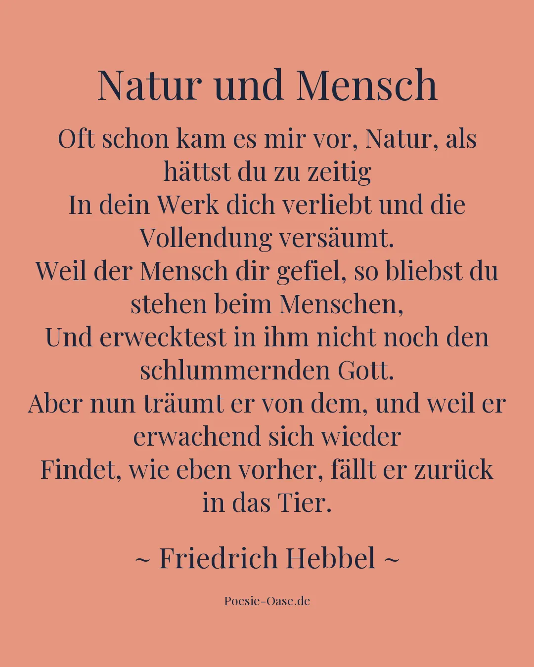 Illustration zu Natur und Mensch