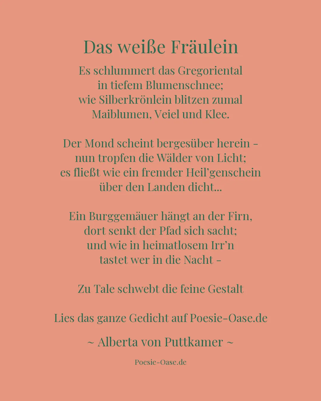 Illustration zu Das weiße Fräulein