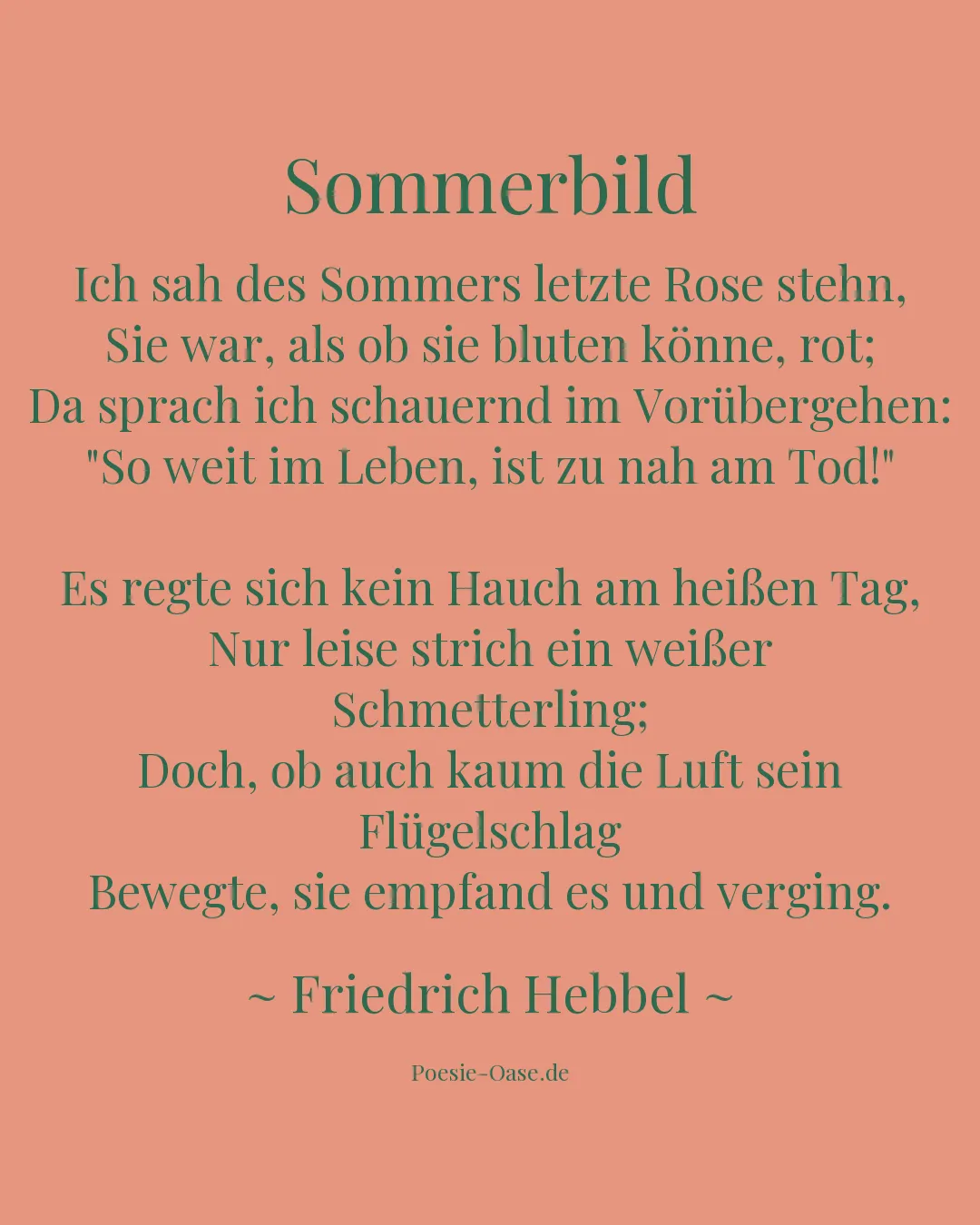Illustration zu Sommerbild