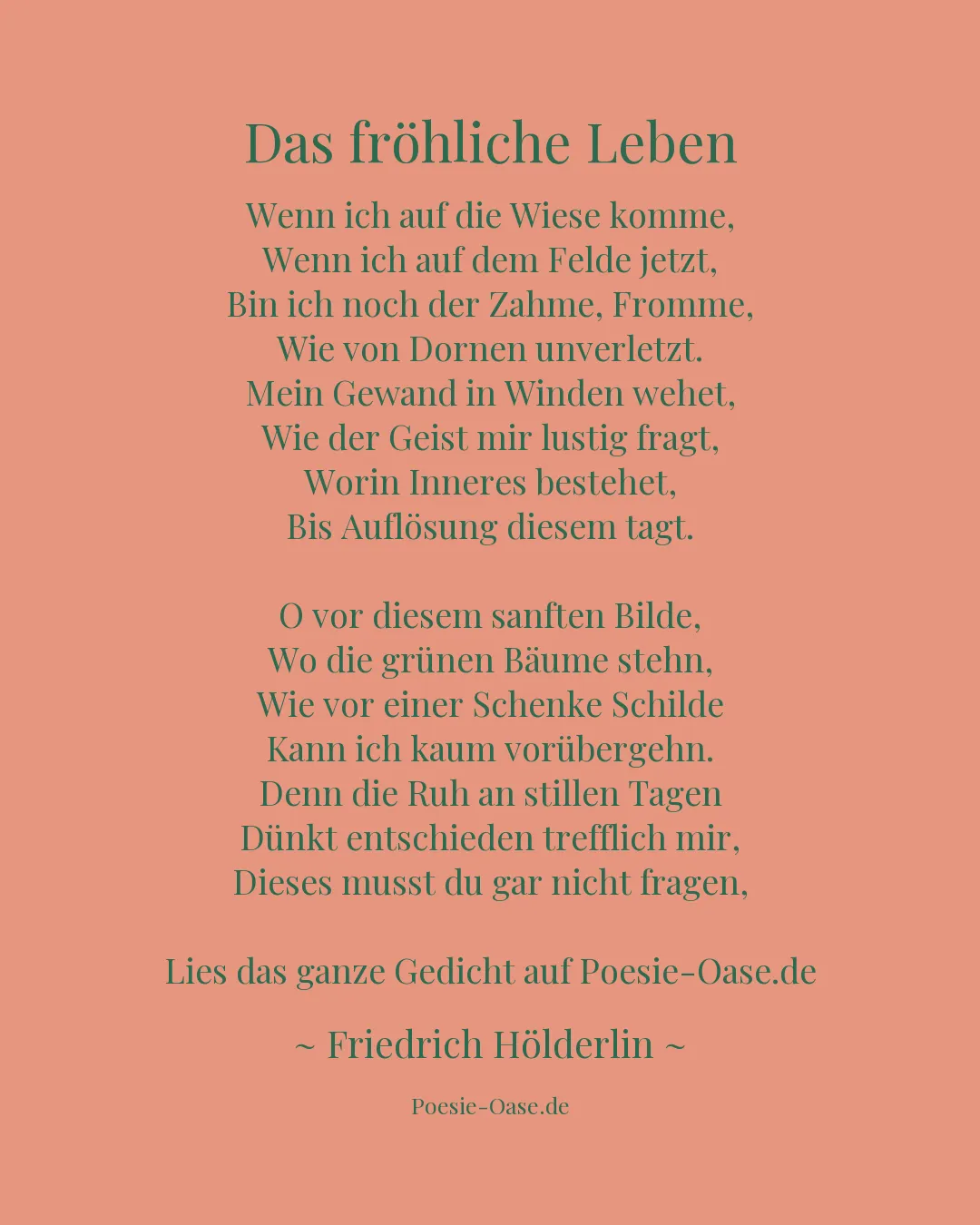 Illustration zu Das fröhliche Leben