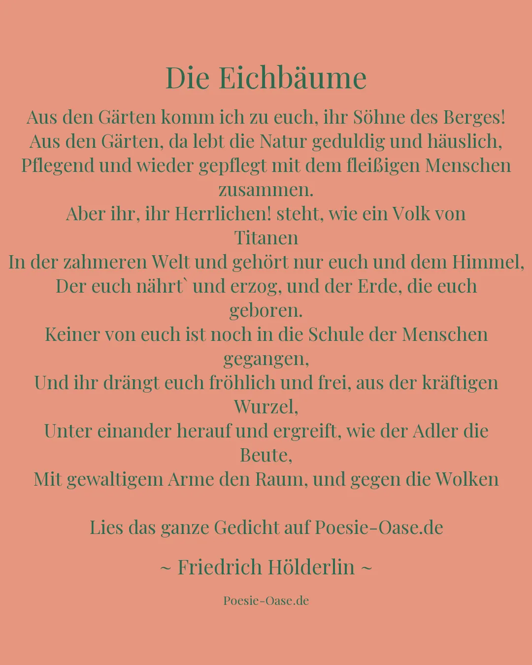 Illustration zu Die Eichbäume