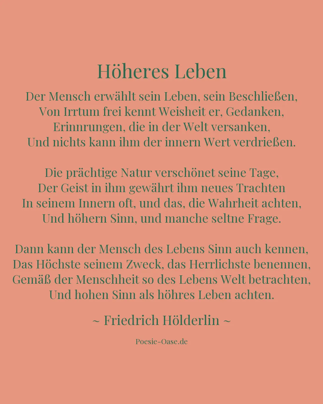Illustration zu Höheres Leben