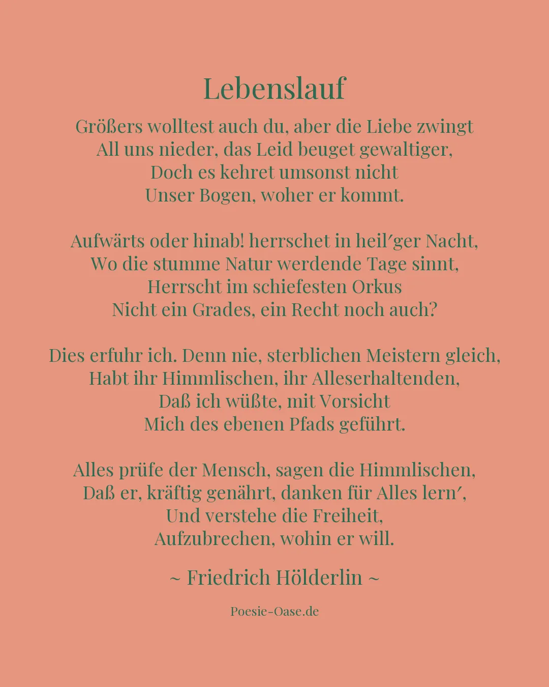 Illustration zu Lebenslauf