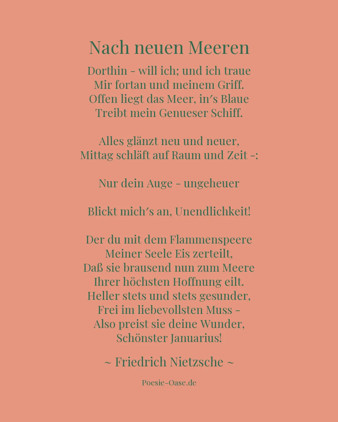 Illustration zu Nach neuen Meeren