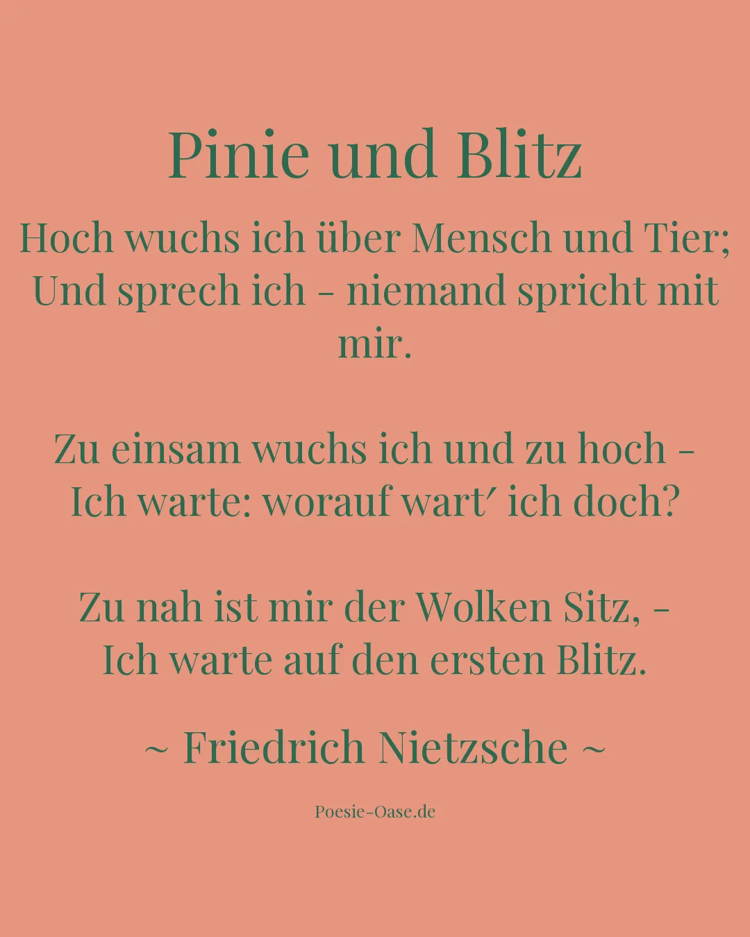 Illustration zu Pinie und Blitz