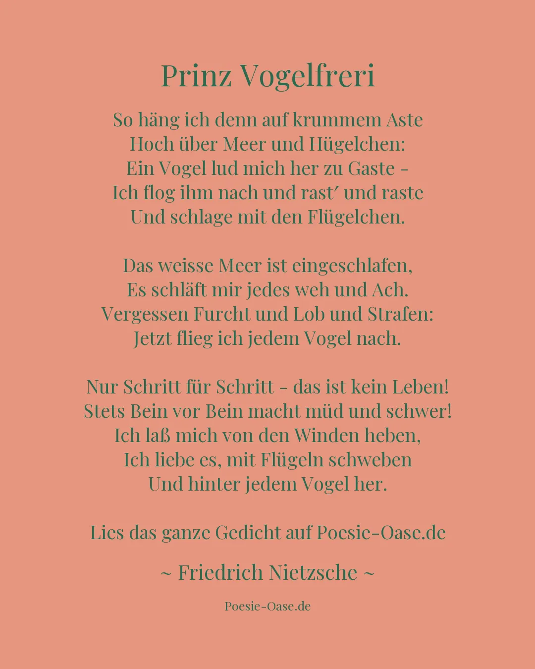 Illustration zu Prinz Vogelfreri