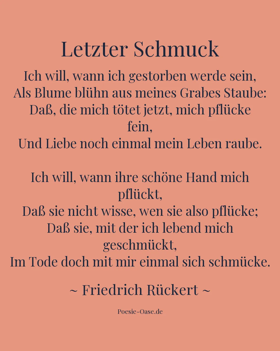 Illustration zu Letzter Schmuck