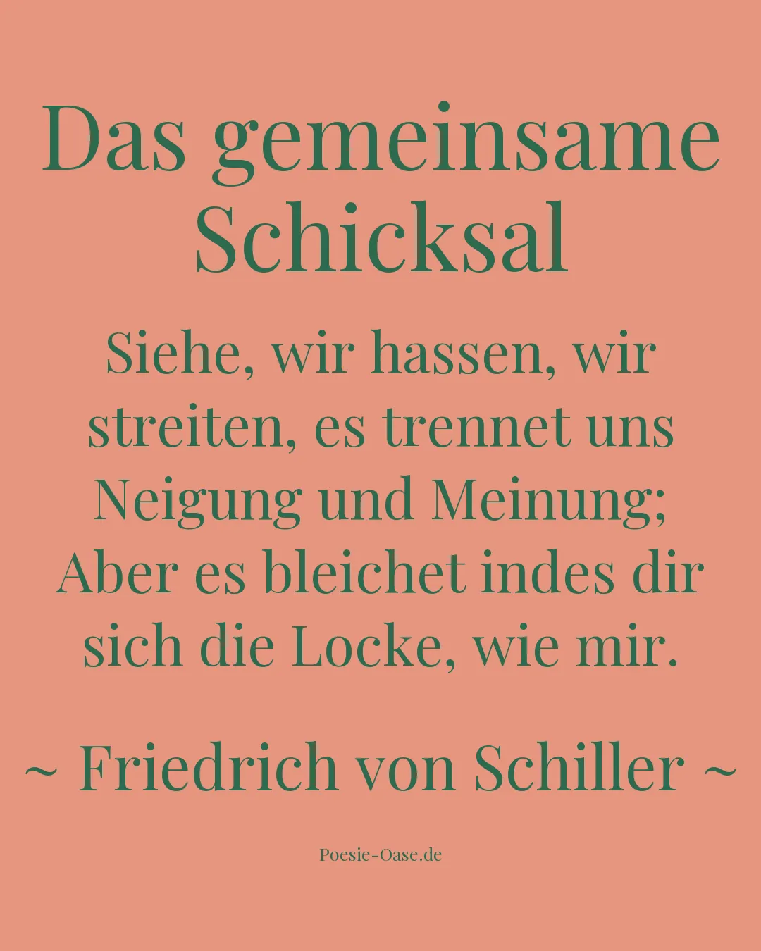 Illustration zu Das gemeinsame Schicksal