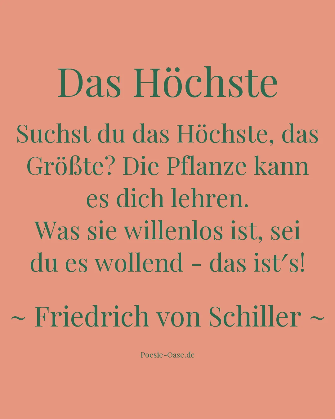 Illustration zu Das Höchste