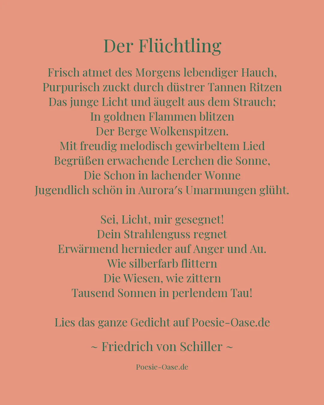 Illustration zu Der Flüchtling