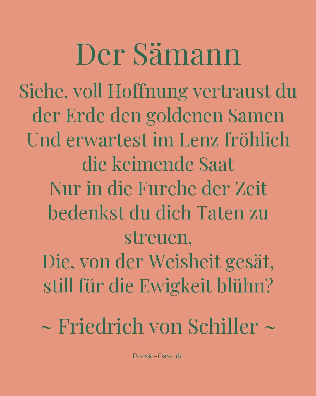 Illustration zu Der Sämann
