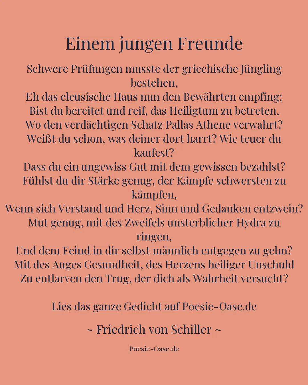 Illustration zu Einem jungen Freunde
