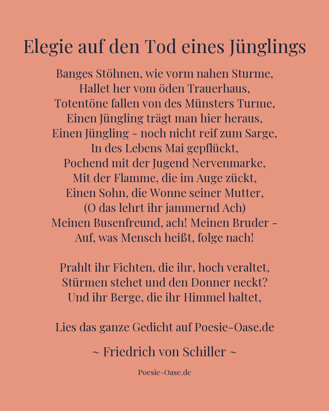 Illustration zu Elegie auf den Tod eines Jünglings