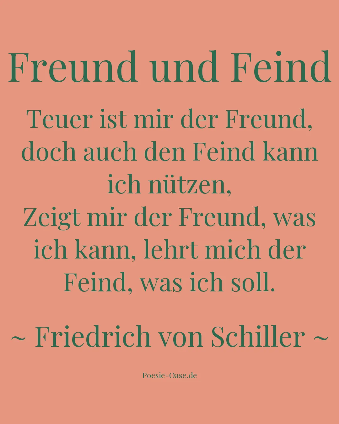 Illustration zu Freund und Feind
