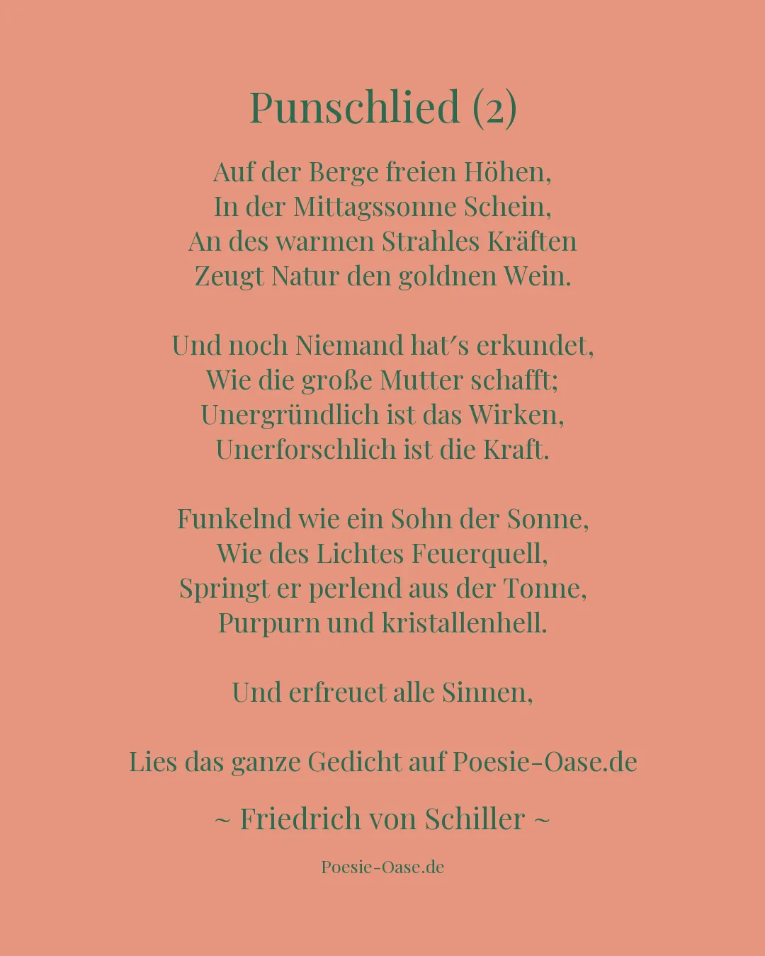 Illustration zu Punschlied (2)