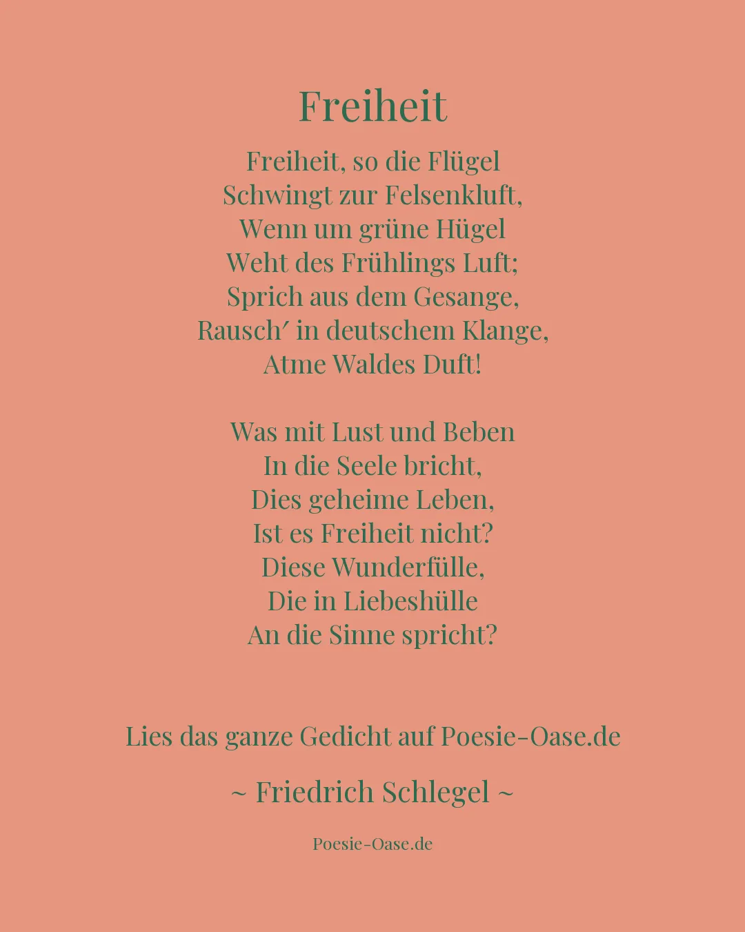 Illustration zu Freiheit