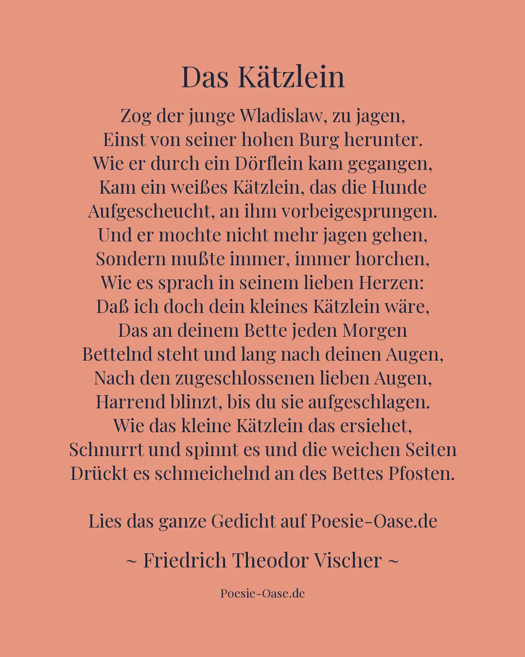 Illustration zu Das Kätzlein