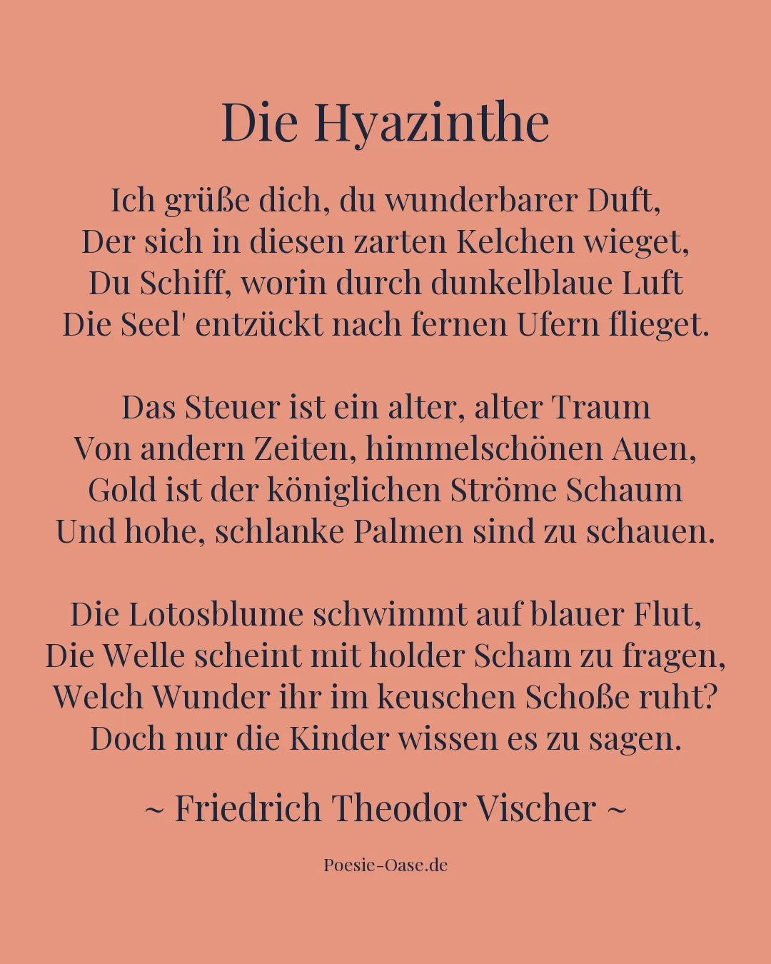 Illustration zu Die Hyazinthe