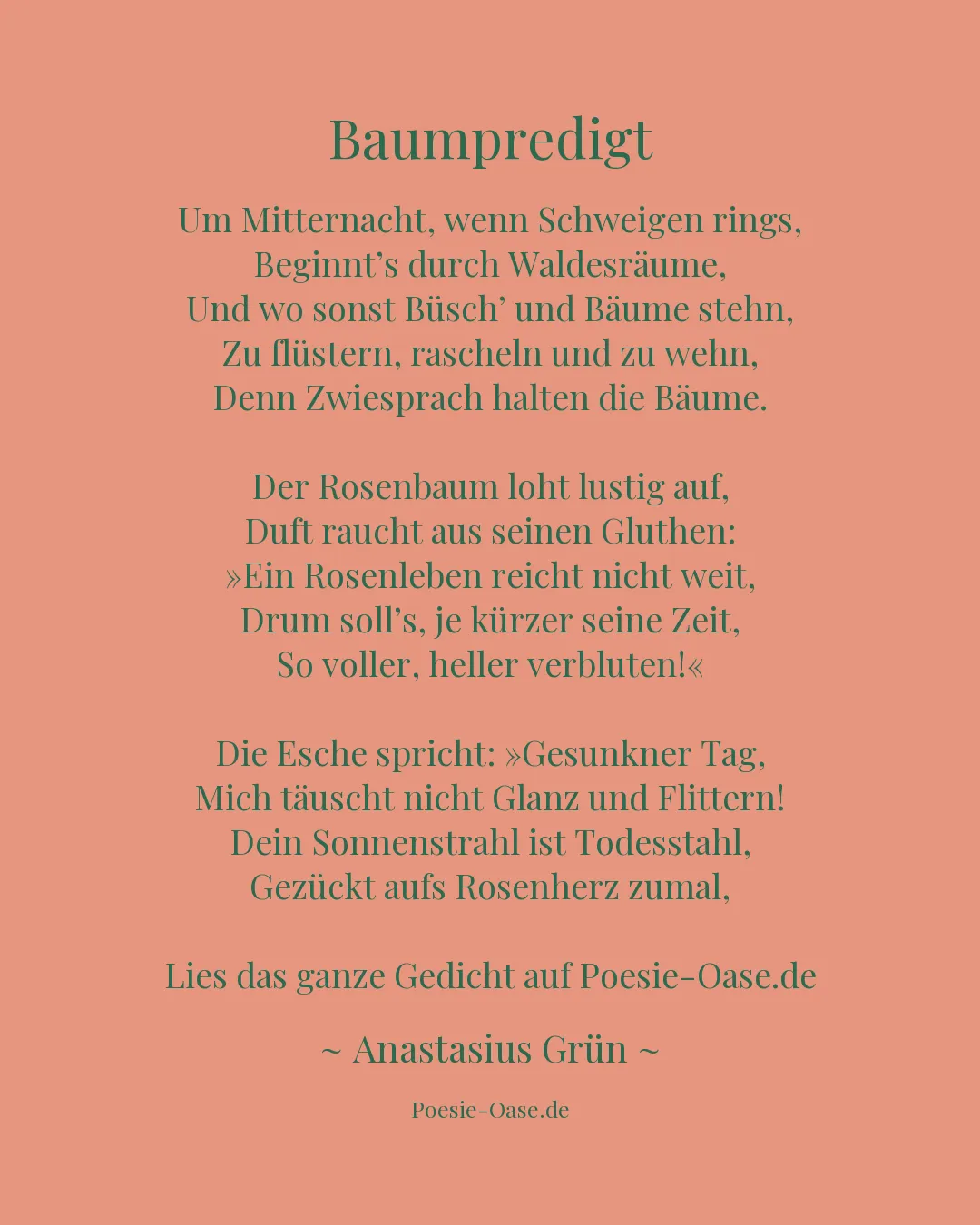 Illustration zu Baumpredigt