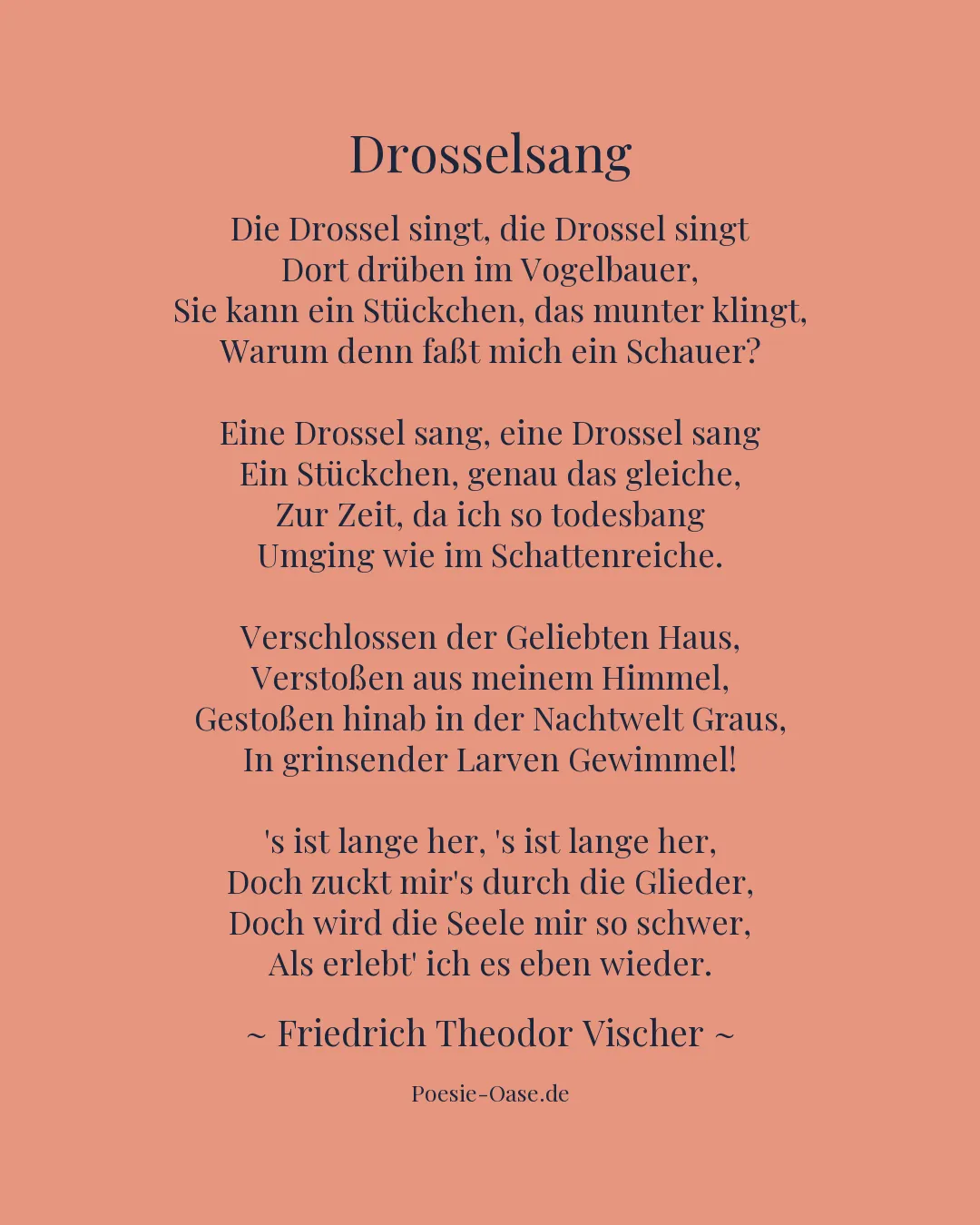 Illustration zu Drosselsang
