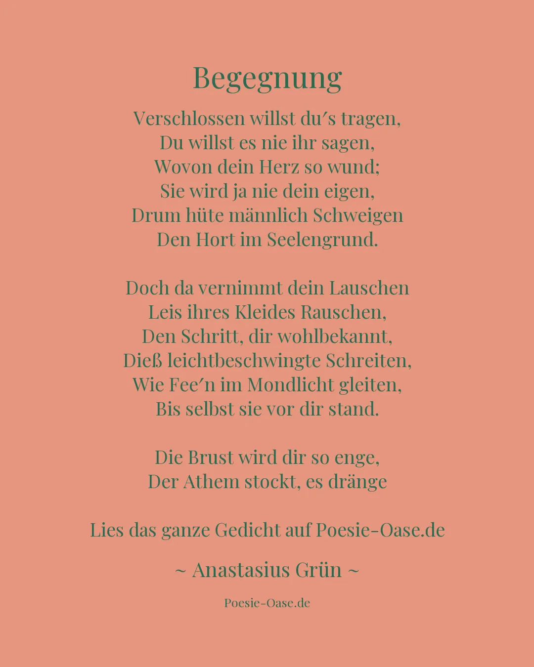 Illustration zu Begegnung