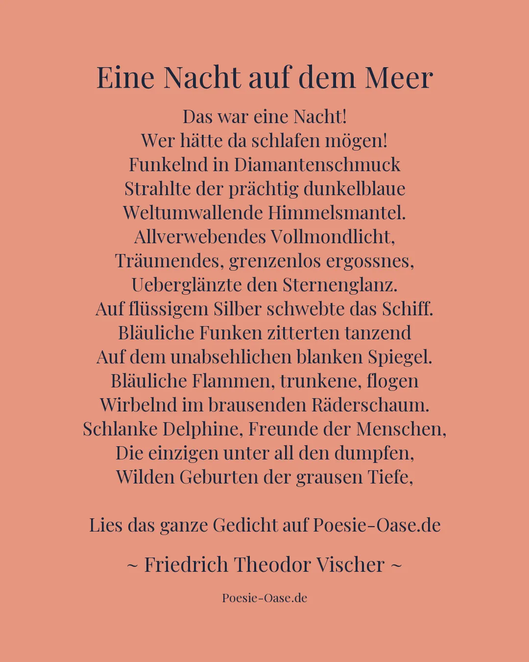 Illustration zu Eine Nacht auf dem Meer