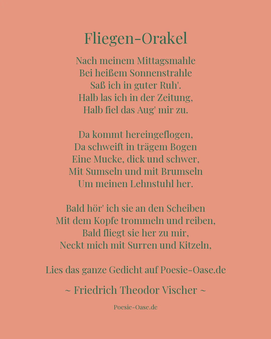 Illustration zu Fliegen-Orakel