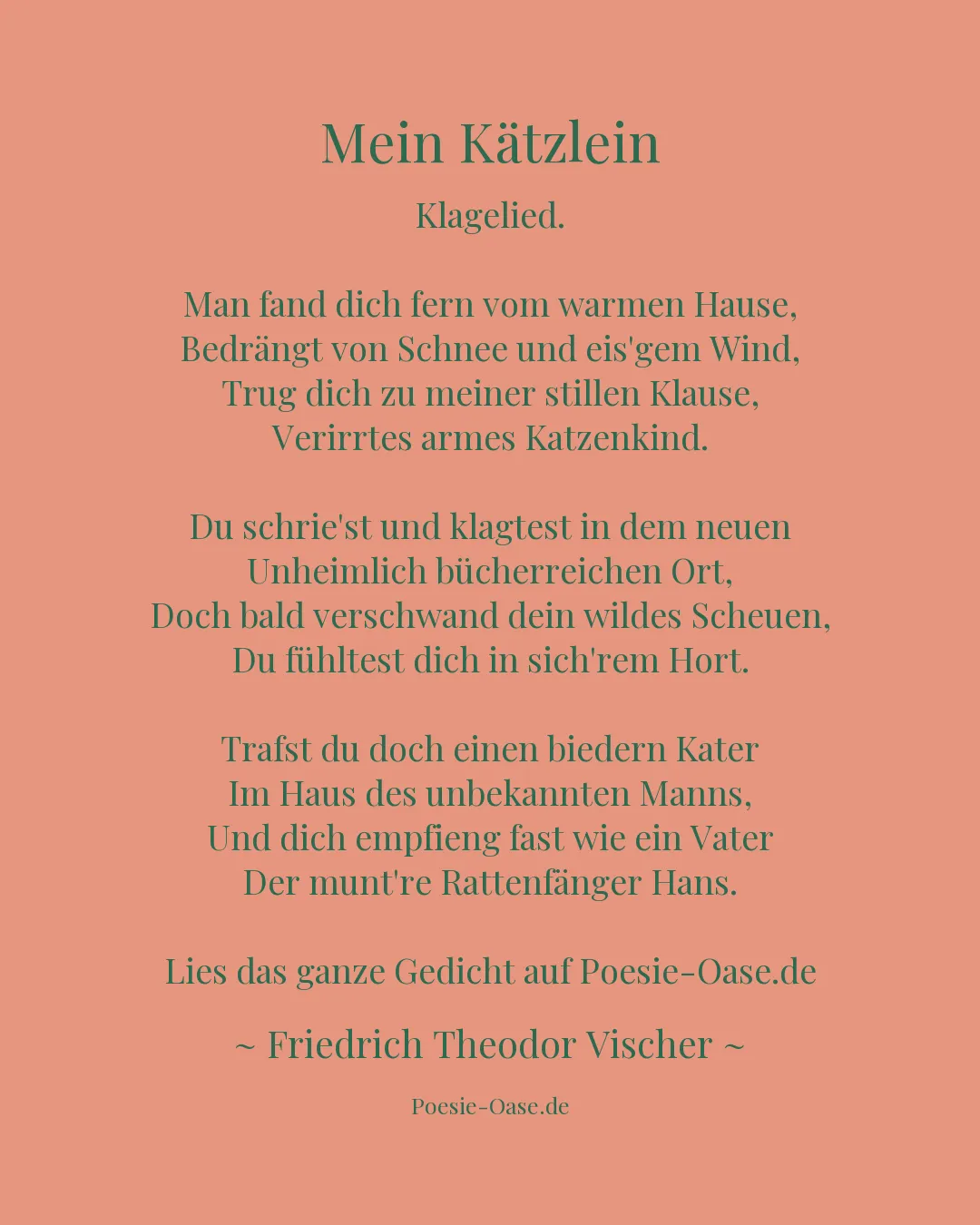 Illustration zu Mein Kätzlein