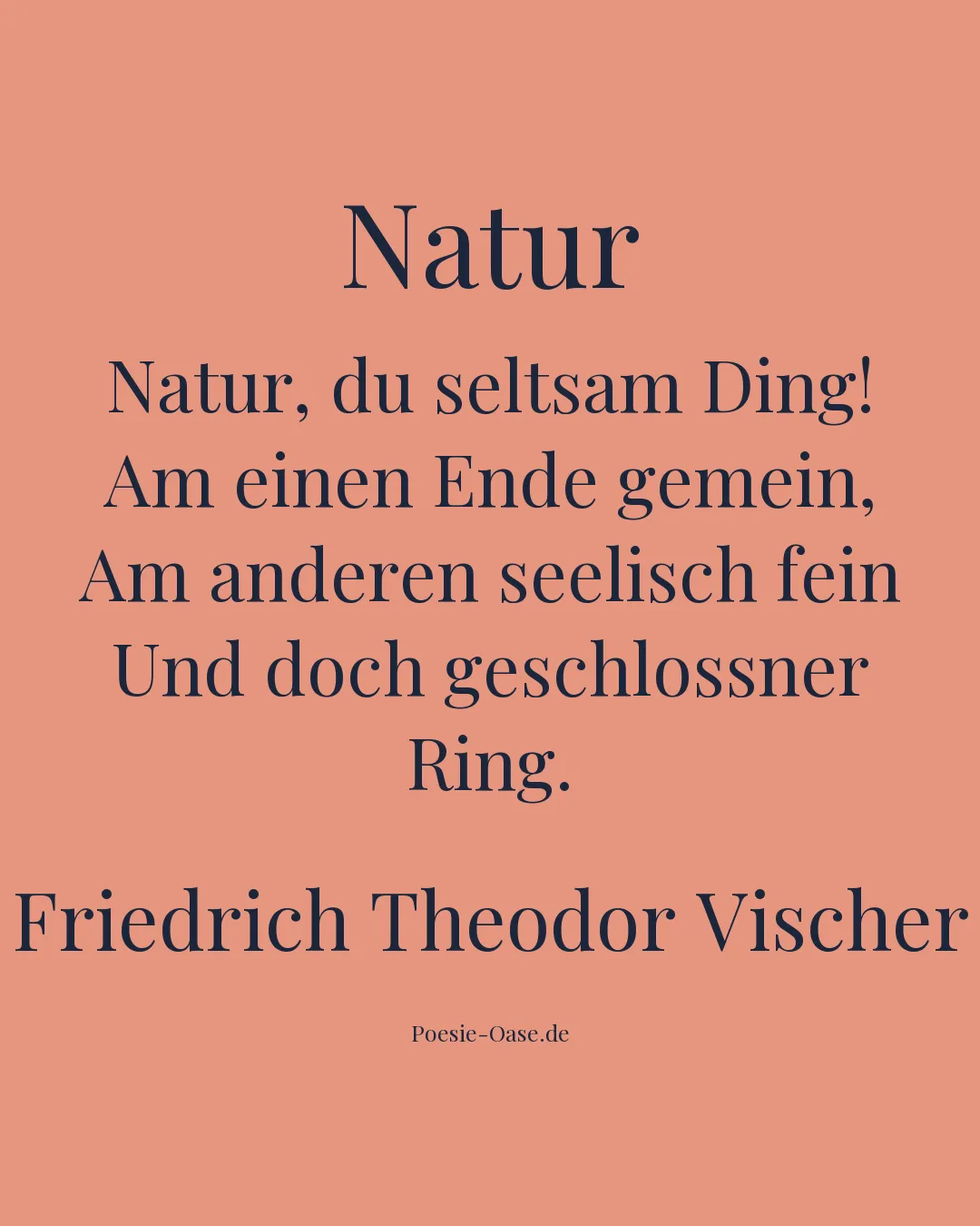 Illustration zu Natur