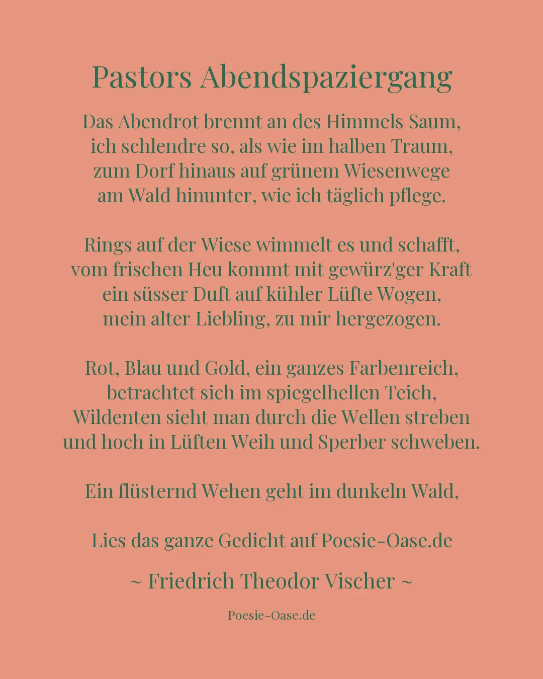 Illustration zu Pastors Abendspaziergang