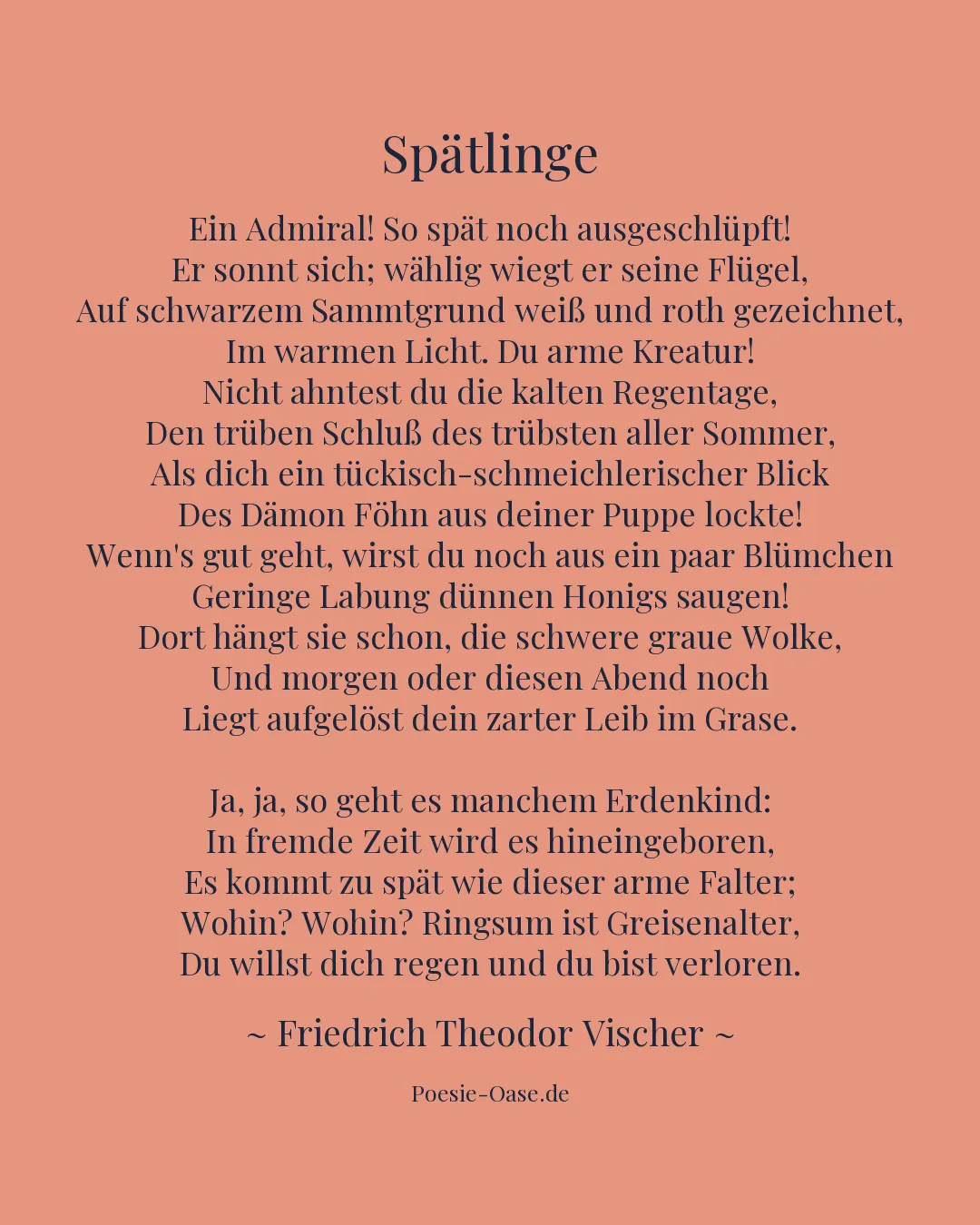 Illustration zu Spätlinge