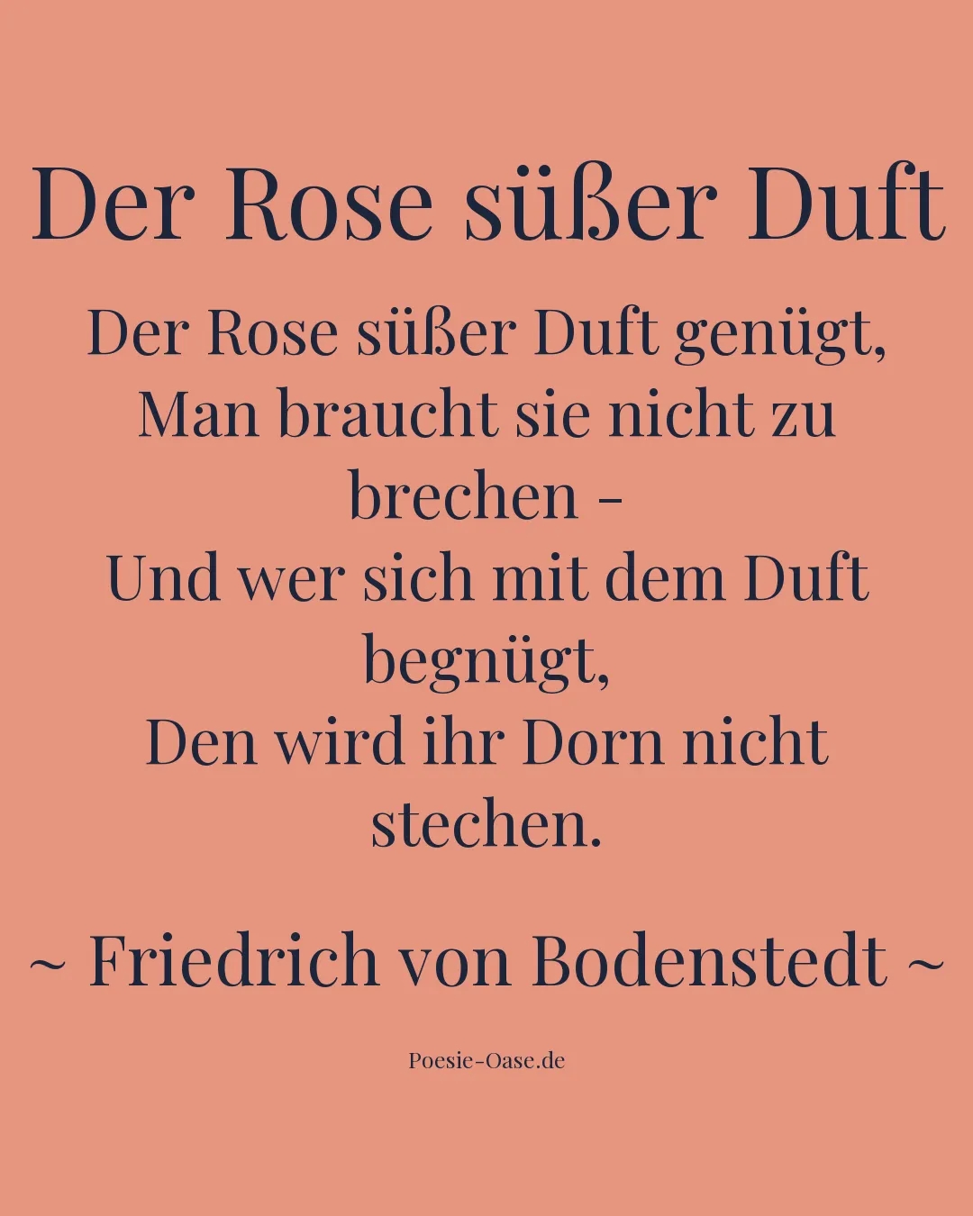 Illustration zu Der Rose süßer Duft