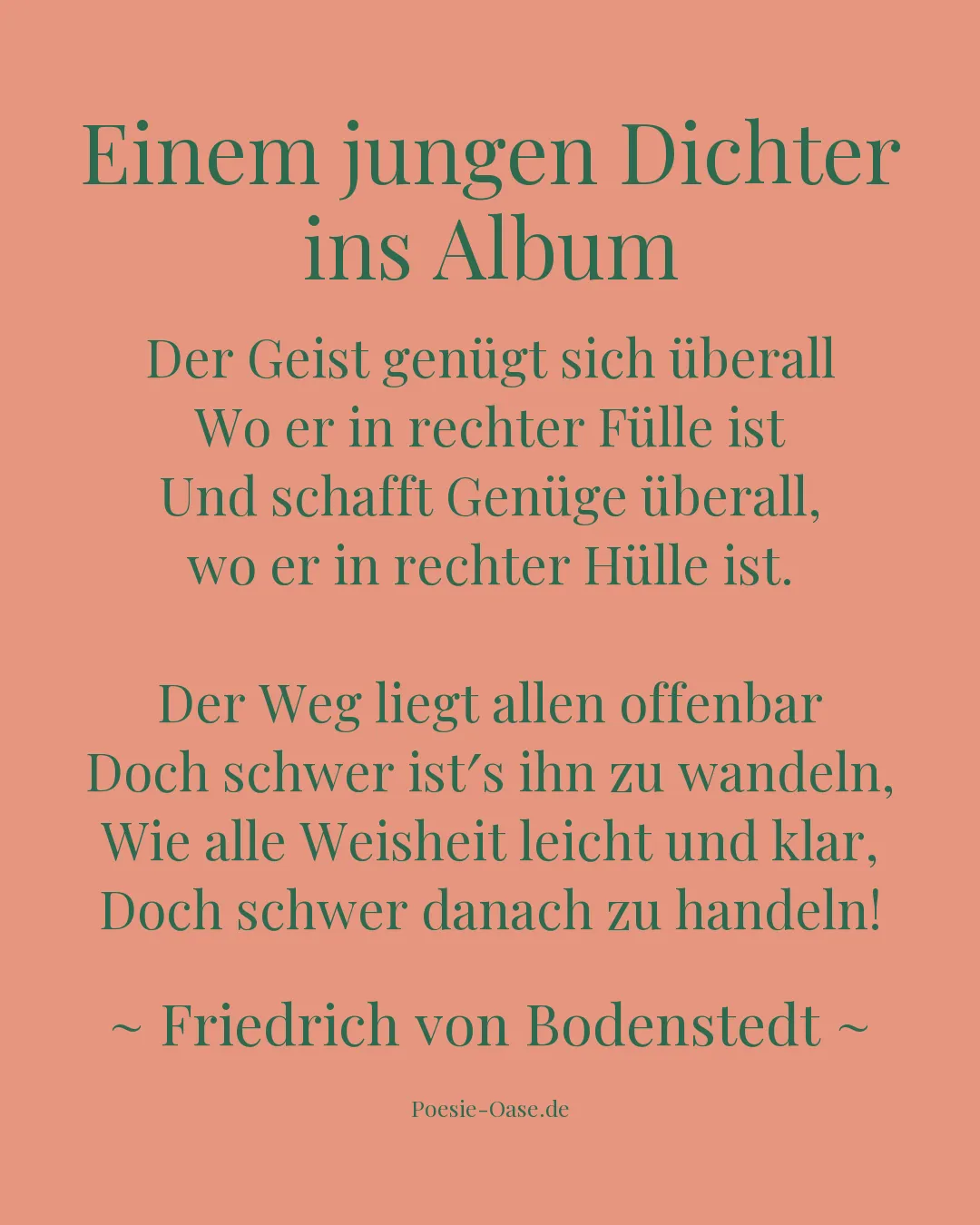 Illustration zu Einem jungen Dichter ins Album