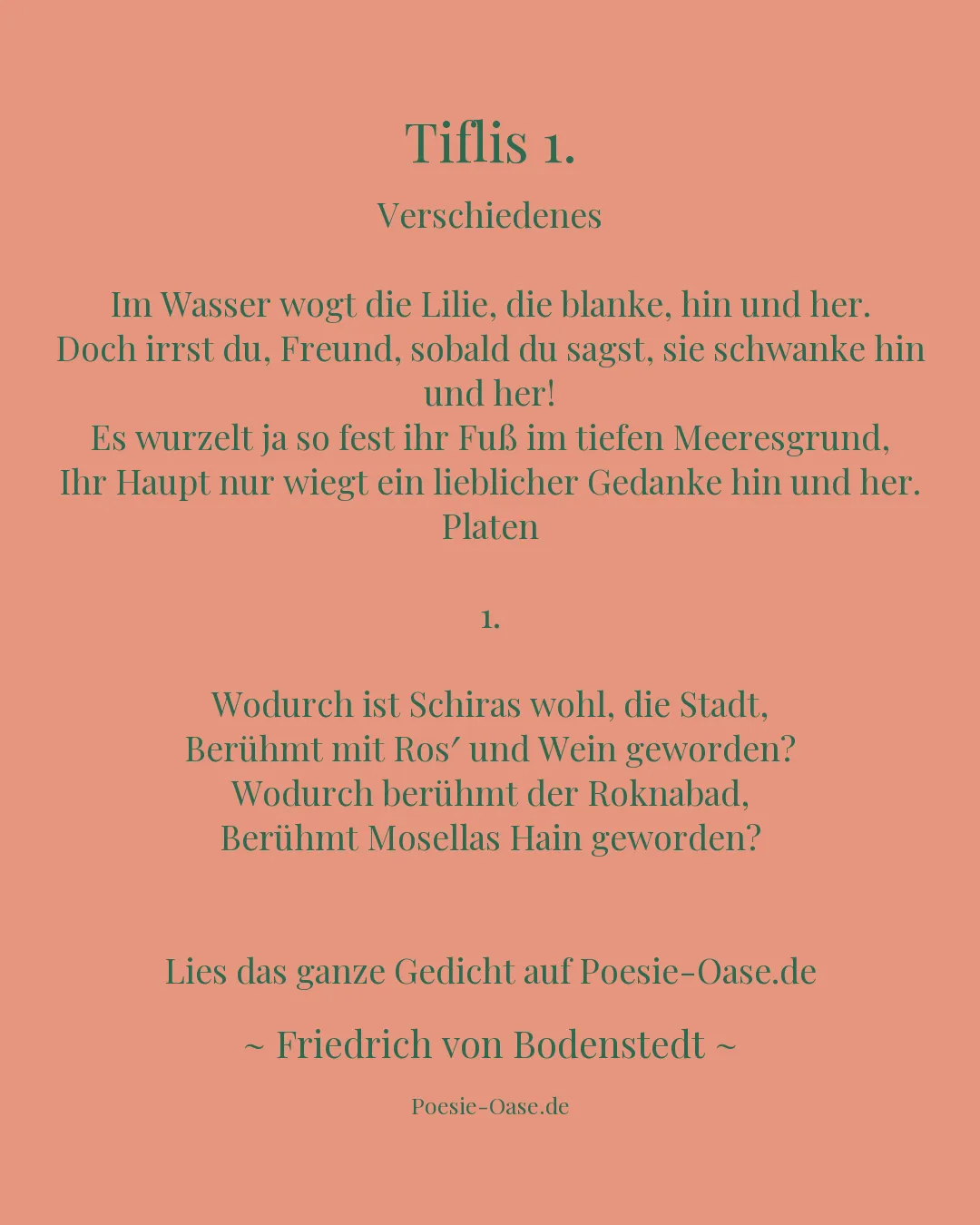 Illustration zu Tiflis 1.