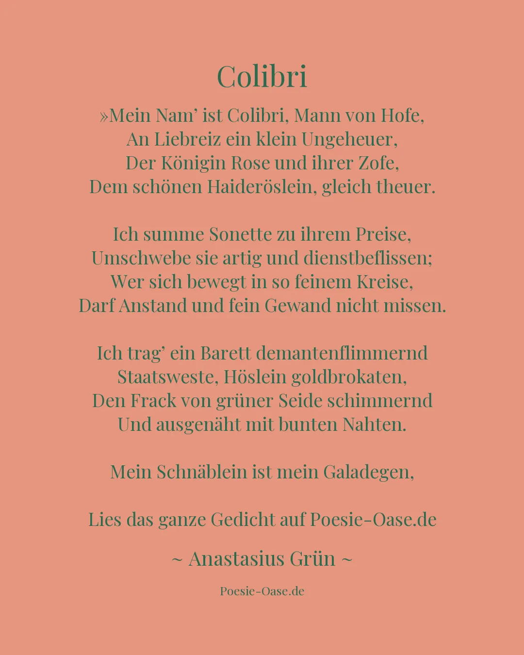 Illustration zu Colibri