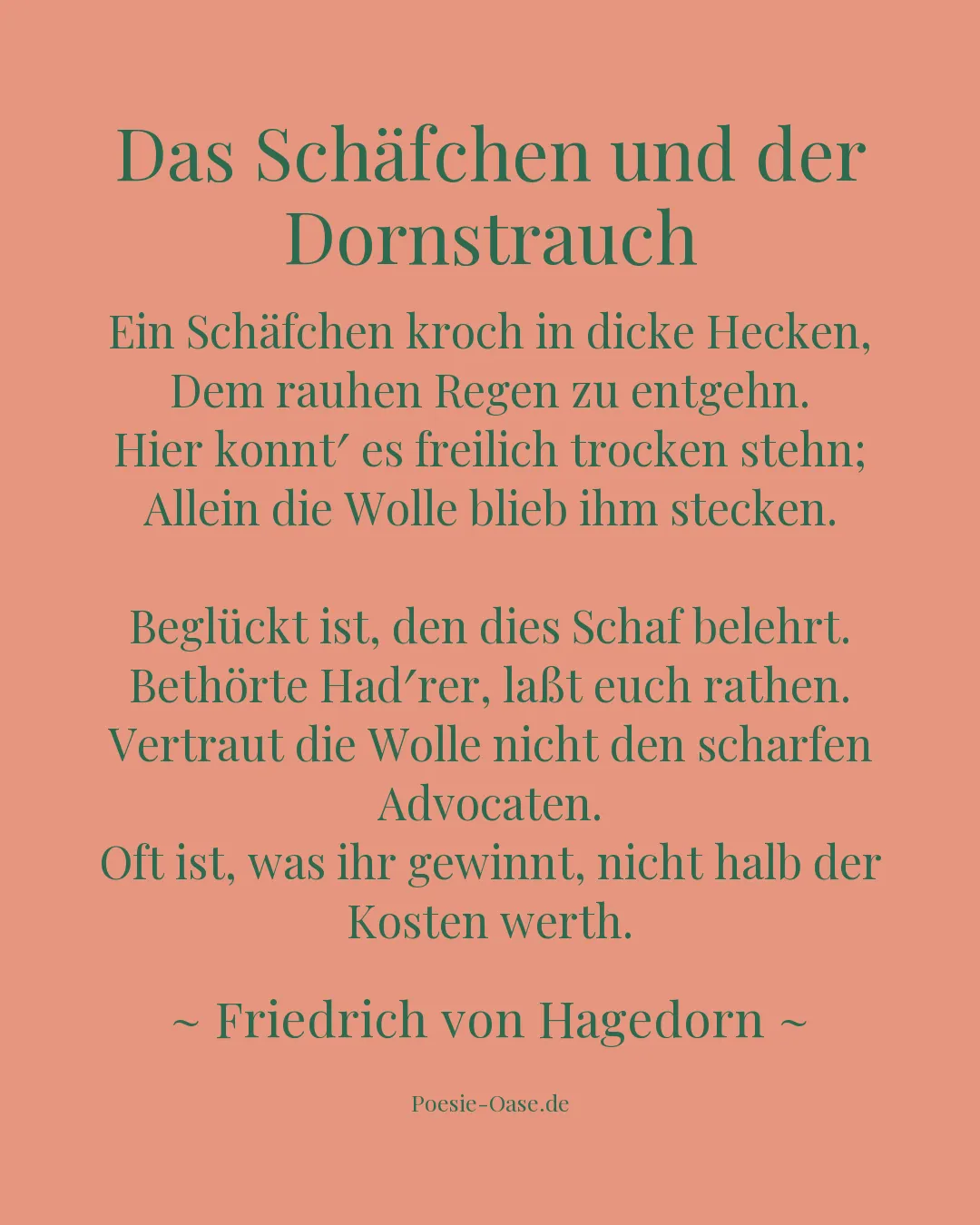 Illustration zu Das Schäfchen und der Dornstrauch