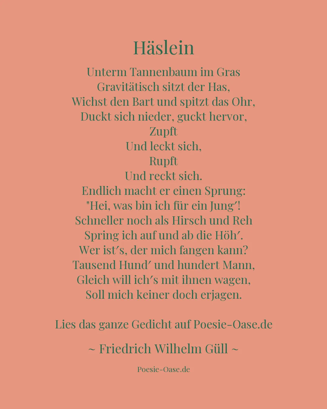 Illustration zu Häslein