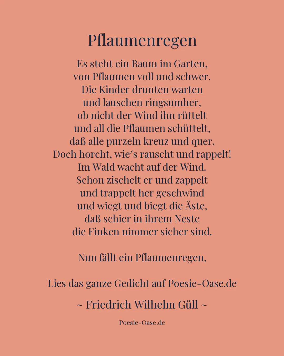 Illustration zu Pflaumenregen