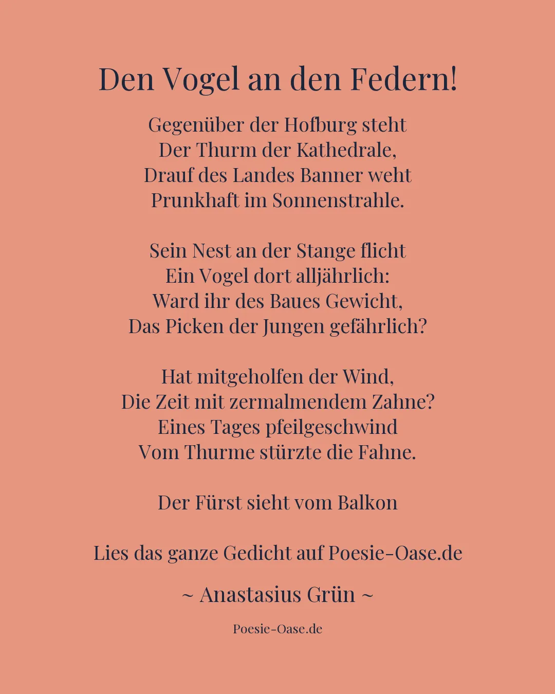 Illustration zu Den Vogel an den Federn!