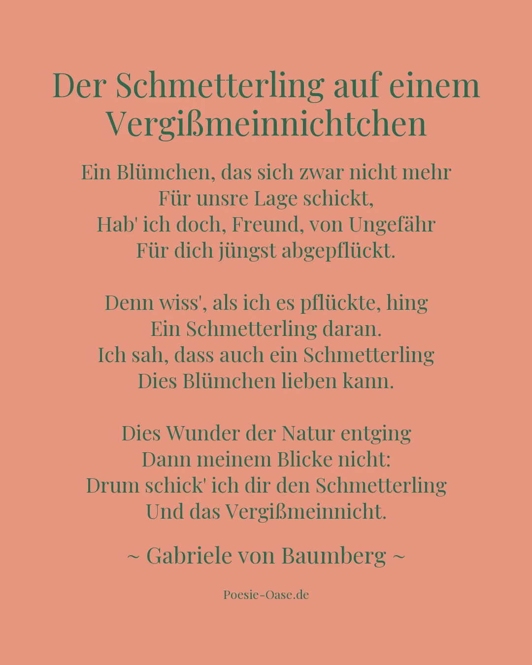 Illustration zu Der Schmetterling auf einem Vergißmeinnichtchen