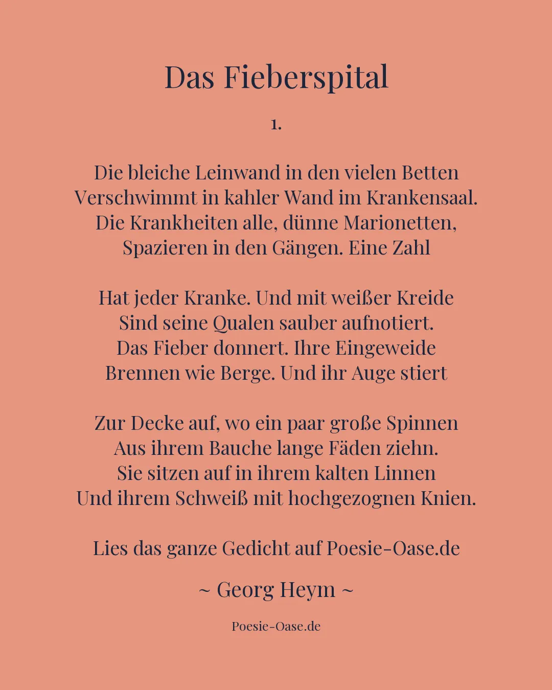 Illustration zu Das Fieberspital