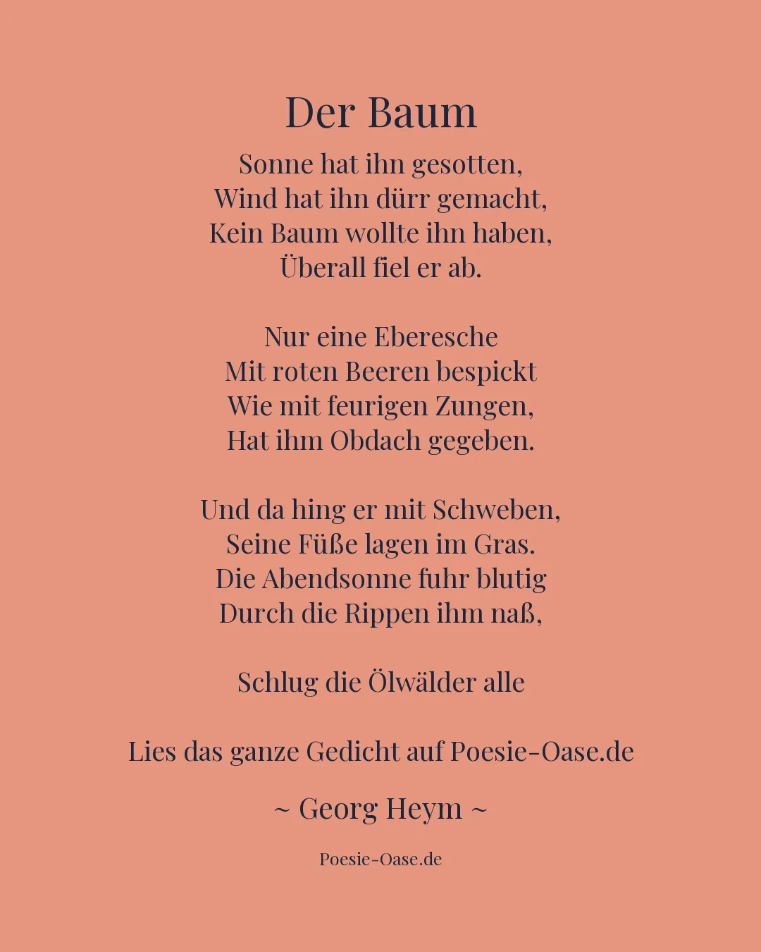 Illustration zu Der Baum