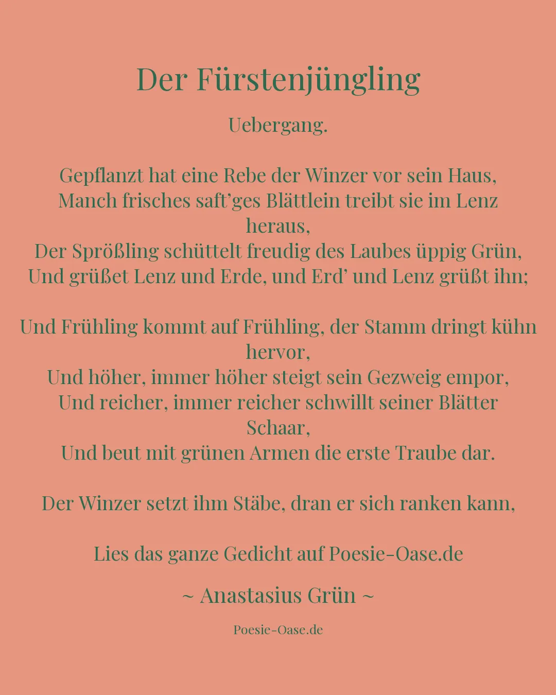 Illustration zu Der Fürstenjüngling