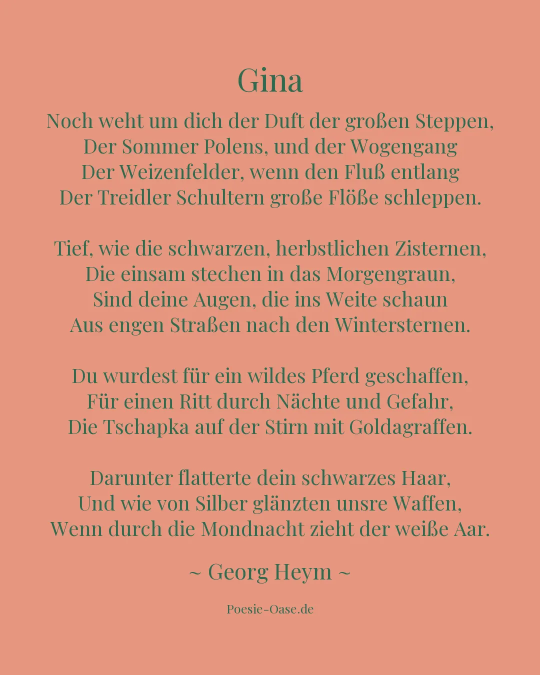 Illustration zu Gina