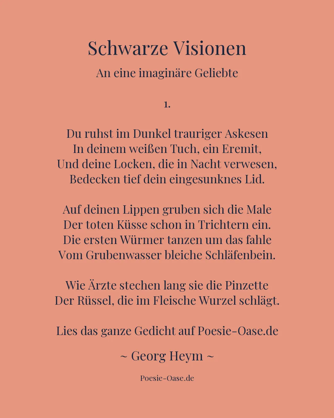 Illustration zu Schwarze Visionen