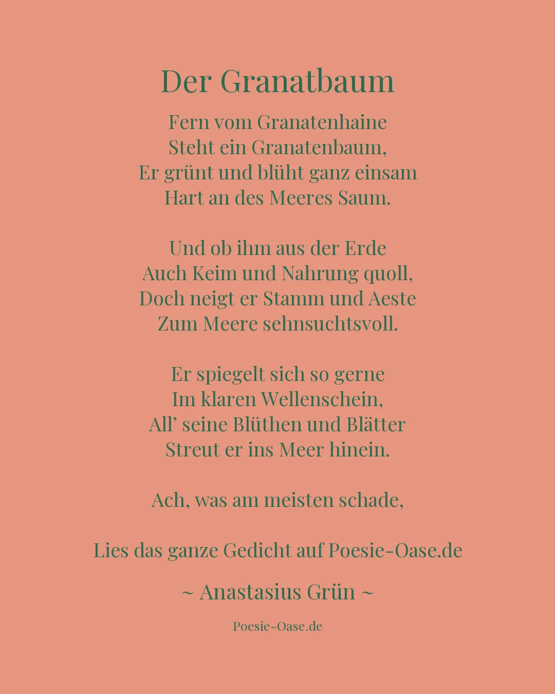 Illustration zu Der Granatbaum