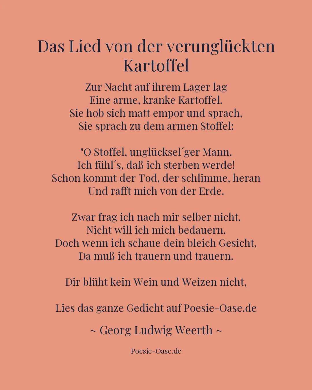 Illustration zu Das Lied von der verunglückten Kartoffel