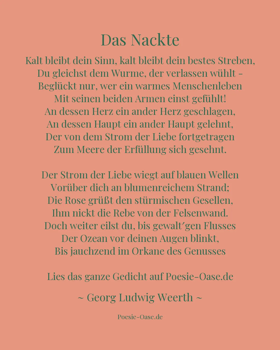 Illustration zu Das Nackte